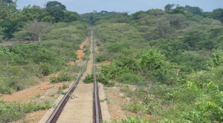 Mchinji to Nkaya Railway Line Feasibility Study - Malawi - Team Group