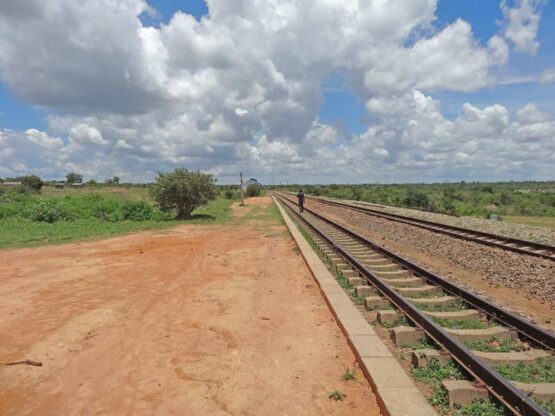 Railway Spurs: Livingstone - Kazungula - Sesheke & Nseluka-Mpulungu