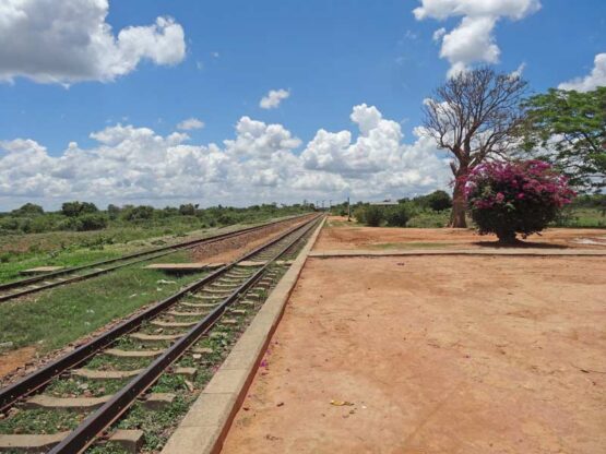 Railway Spurs: Livingstone - Kazungula - Sesheke & Nseluka-Mpulungu