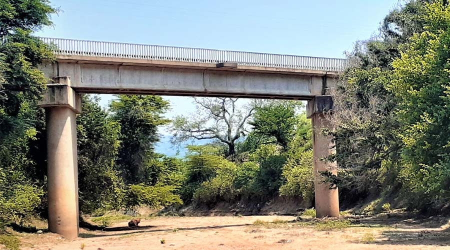 Team-Group-Eswatini-Rail-Link-4