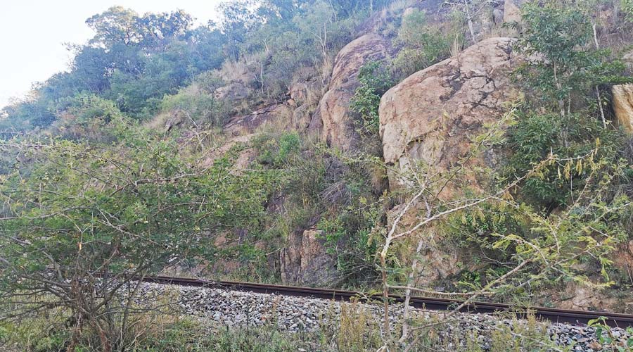 Team-Group-Eswatini-Rail-Link-5