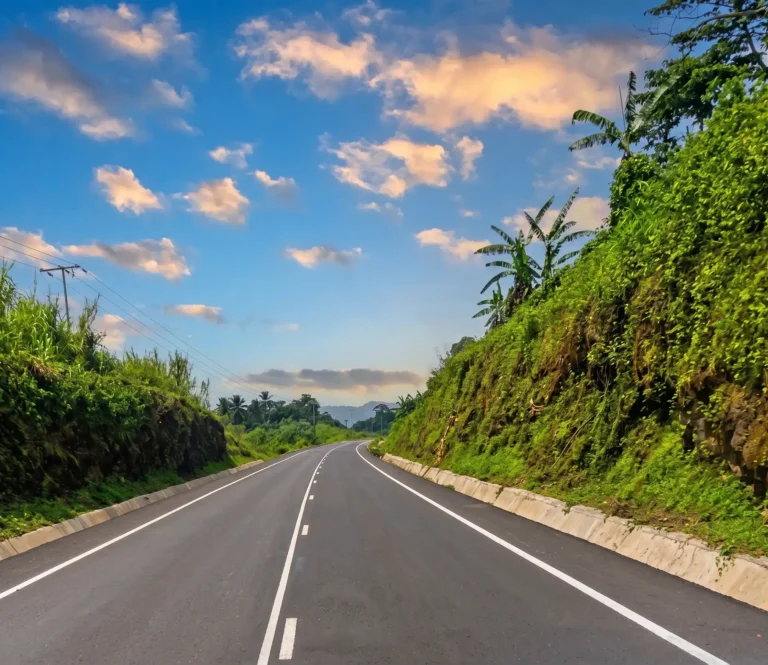 Roads across Guinea